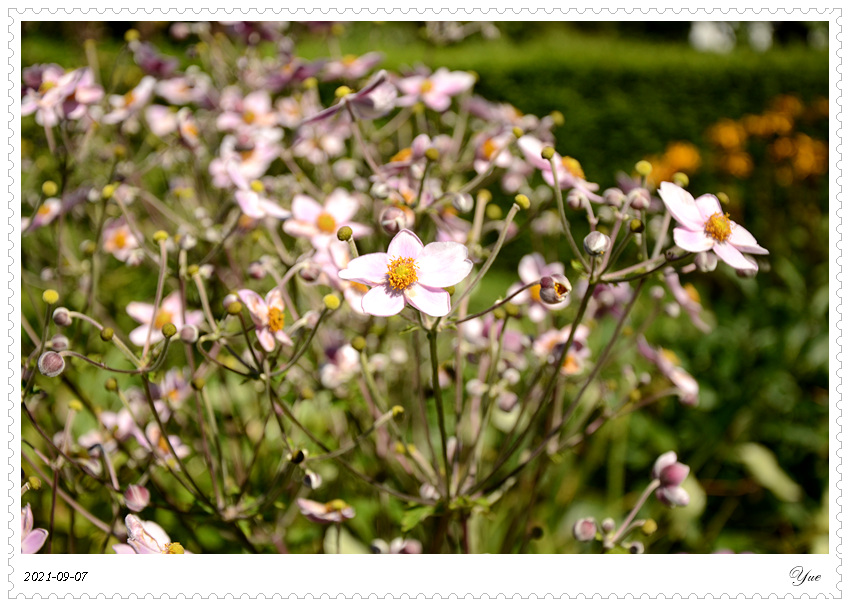 Stevens-Coolidge House & Gardens