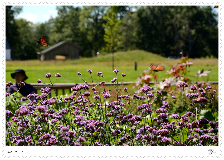 Stevens-Coolidge House & Gardens