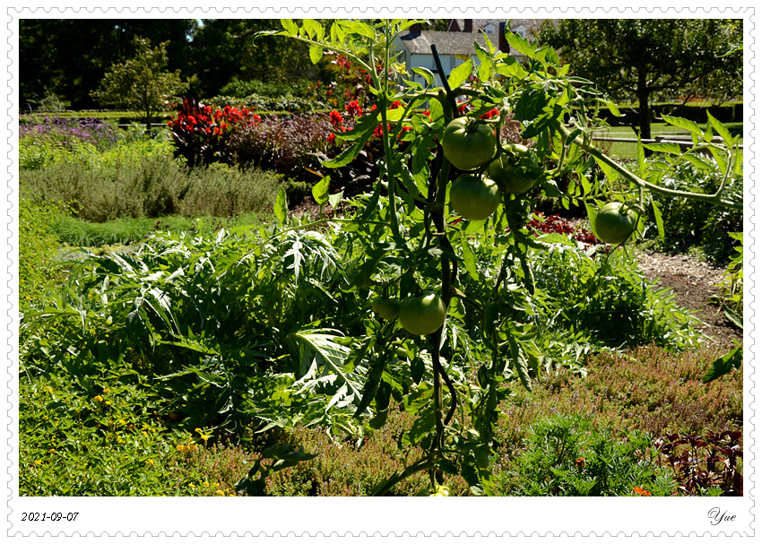 Stevens-Coolidge House & Gardens