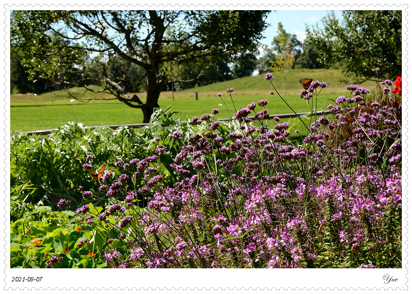 Stevens-Coolidge House & Gardens